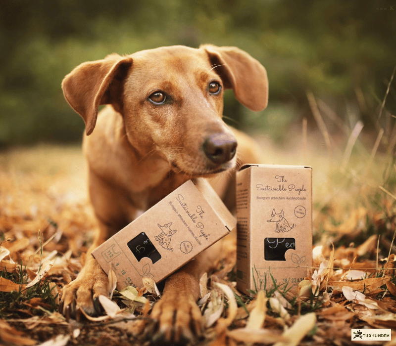 The Sustainable People - biologisk nedbrydelige hundeposer 