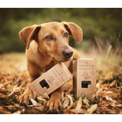 The Sustainable People - biologisk nedbrydelige hundeposer 