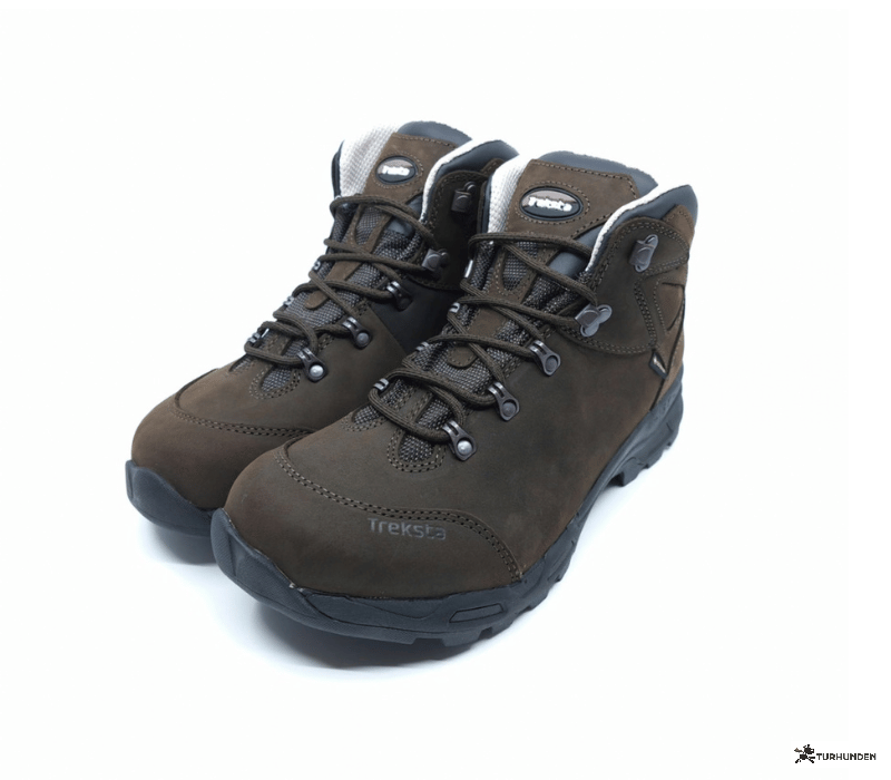 Treksta Artemis 4&Prime; GTX