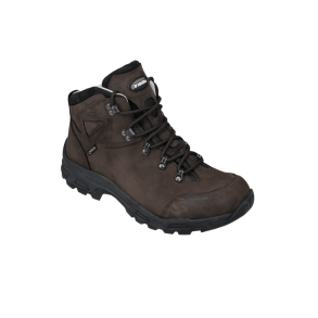Treksta Artemis 4&Prime; GTX