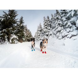 Non-stop dogwear Long distance bootie, 4 stk