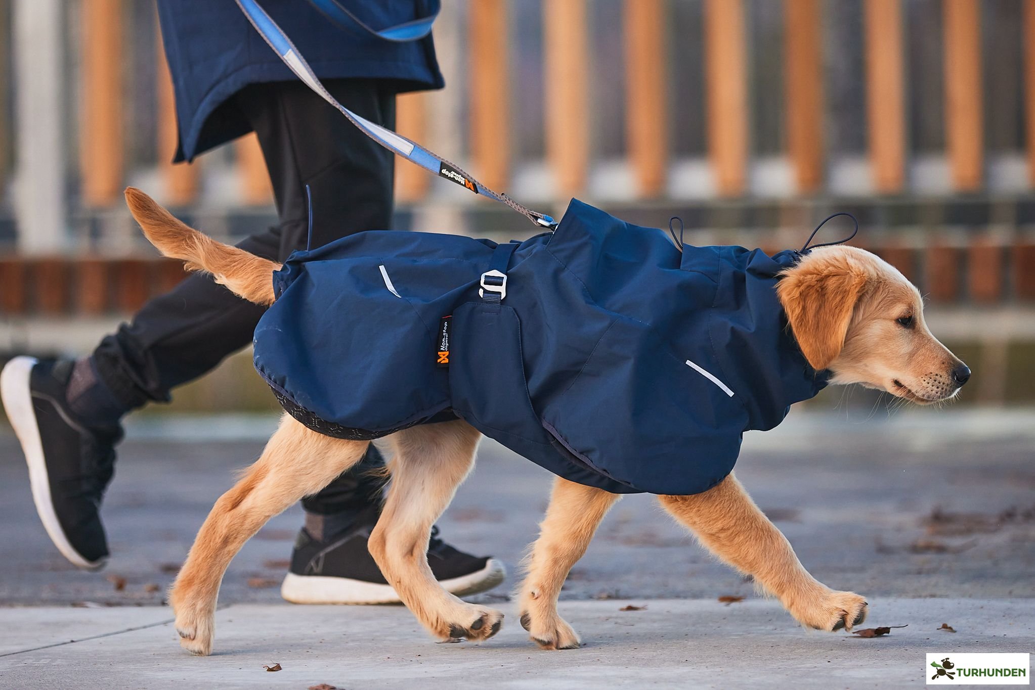Non-stop dogwear Glacier Wool Dog Jacket 2.0, Navy
