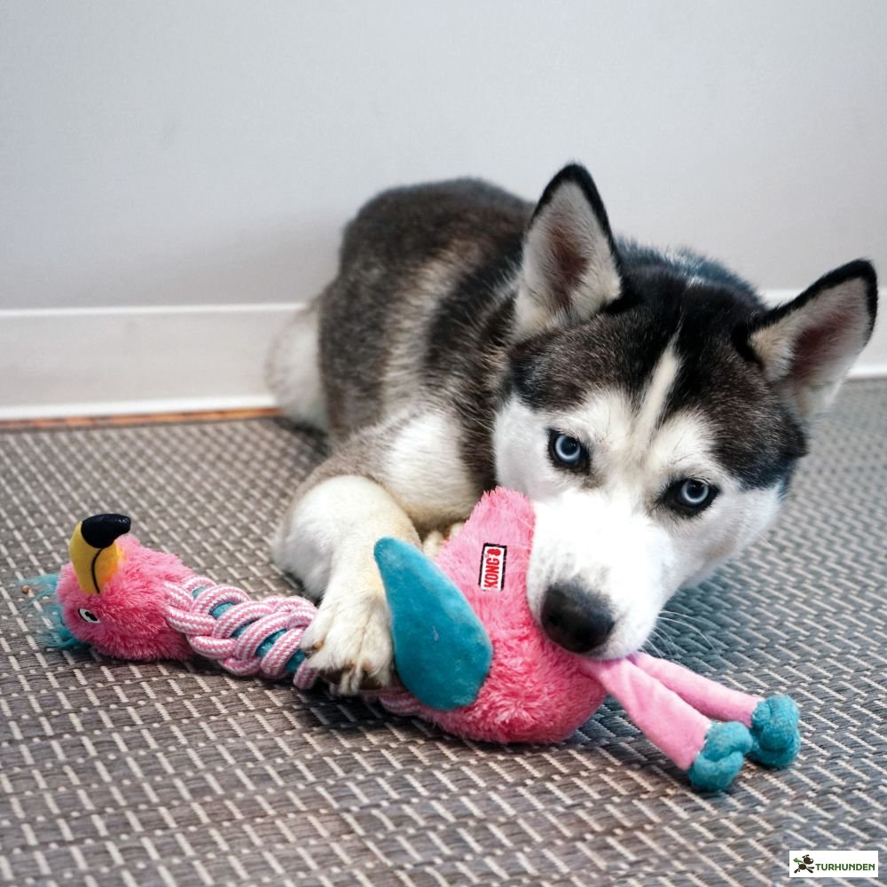 KONG Knots Twists Flamingo/Giraf