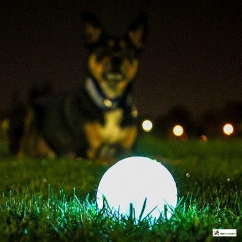 Chuckit Max Glow Ball