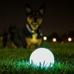 Chuckit Max Glow Ball