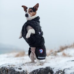 Canelana - Ambassadr Ulddkken