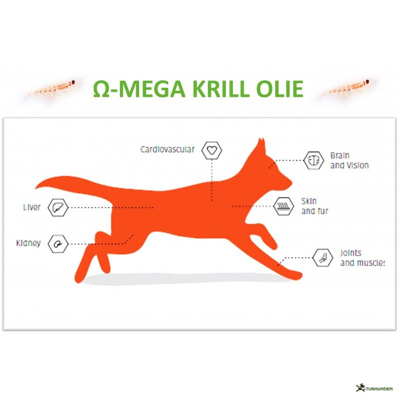 Vitapetz - Omega Krill olie 