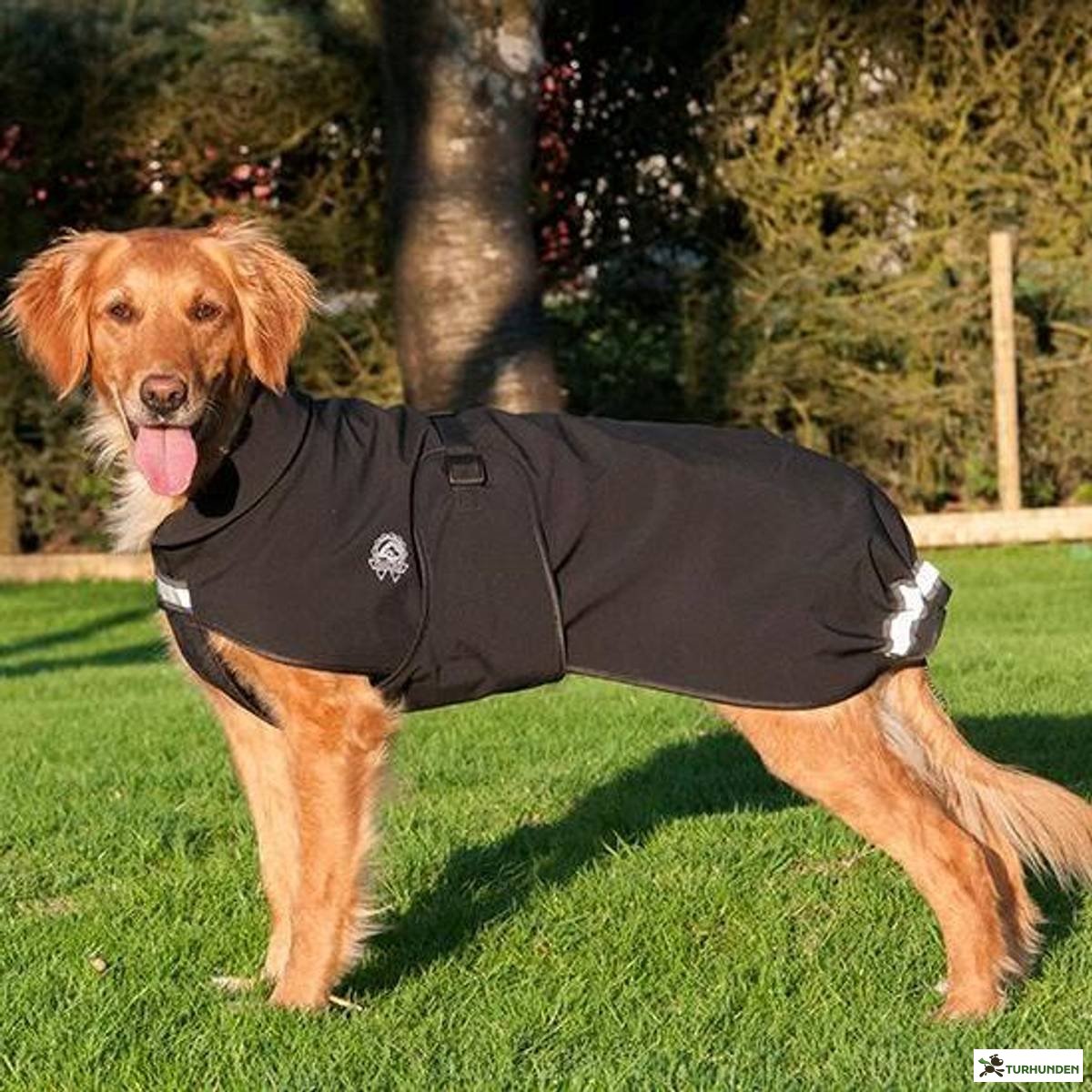 Canelana Cover Dog Coat