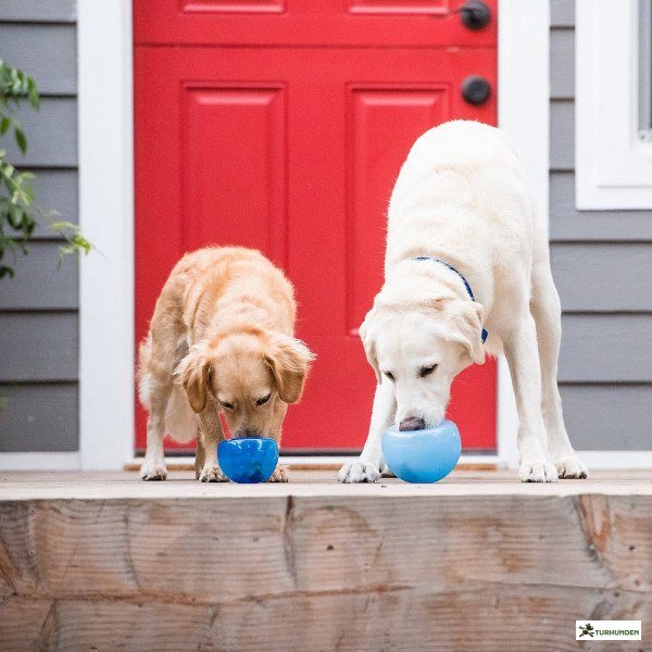 Outward Hound -  Snoop