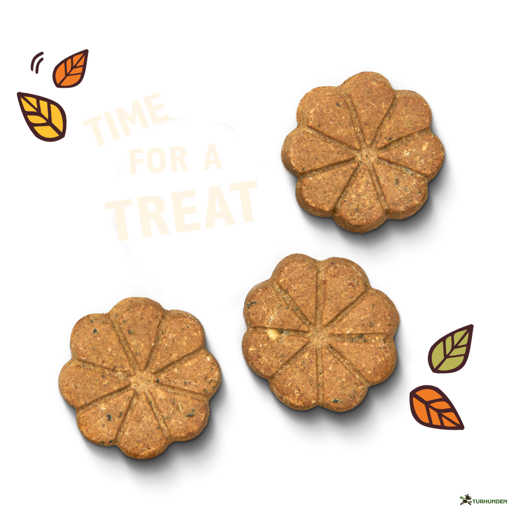 Lily's Kitchen - Breaktime Biscuits