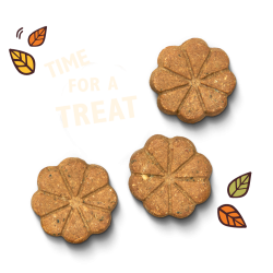 Lily's Kitchen - Breaktime Biscuits