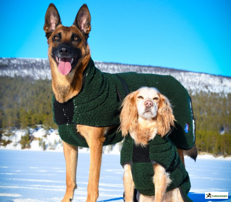 Canelana - Selva Ulddkken