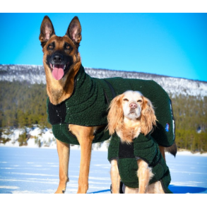 Canelana - Selva Ulddkken