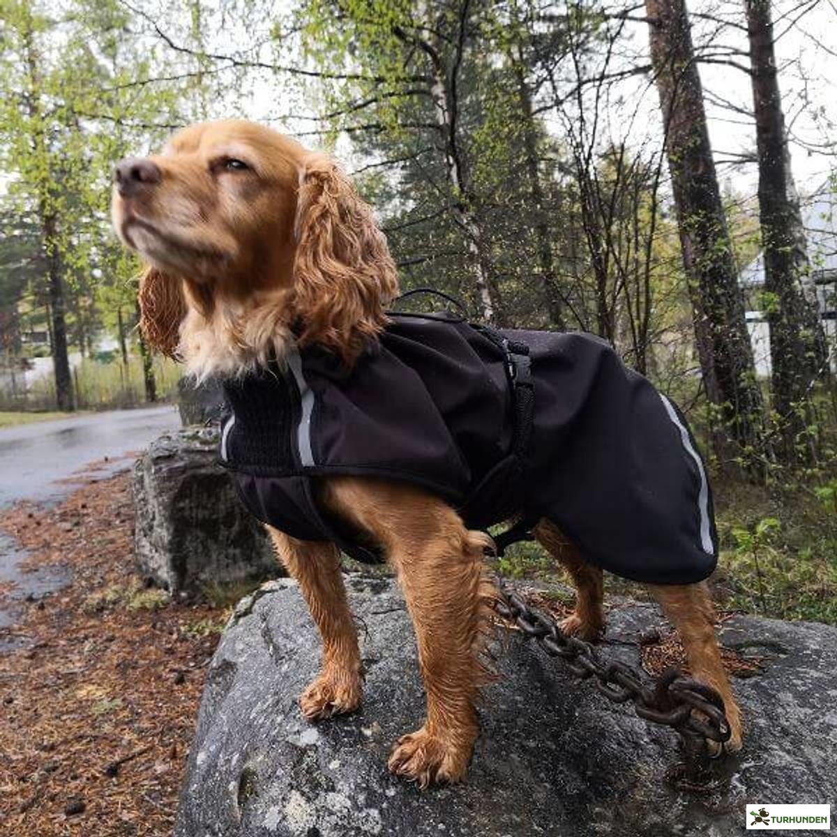 Canelana Cover Dog Coat