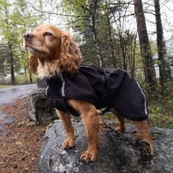 Canelana Cover Dog Coat