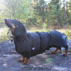 Canelana Thermo Dog Coat