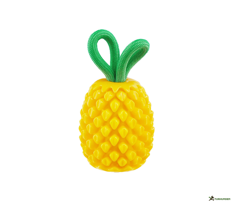Planet Dog Dental Pineapple