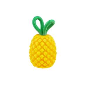 Planet Dog Dental Pineapple