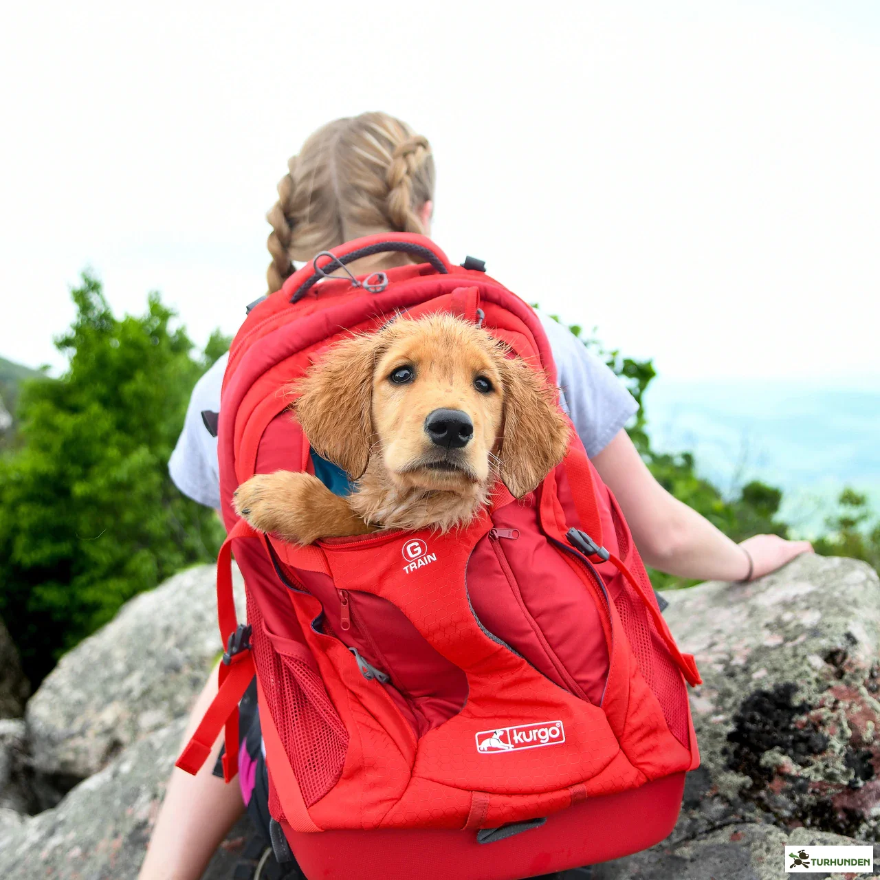 Kurgo G-Train K9 rygsk - sort