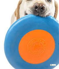 Planet Dog Zoom Flyer