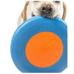 Planet Dog Zoom Flyer