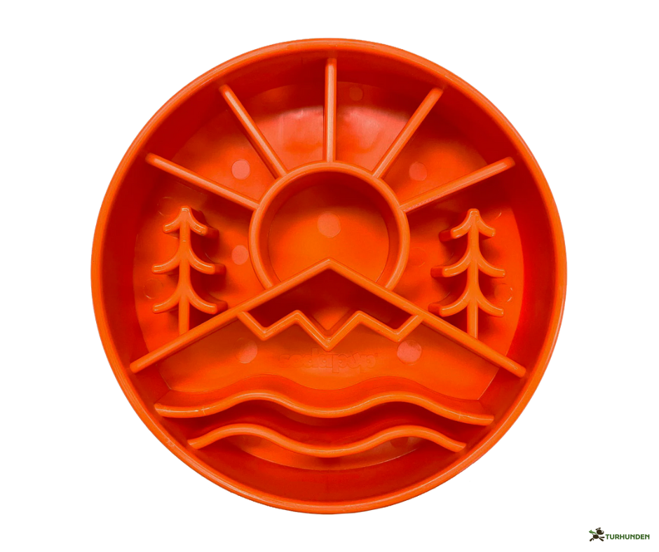 SodaPup Great Outdoor eBowl