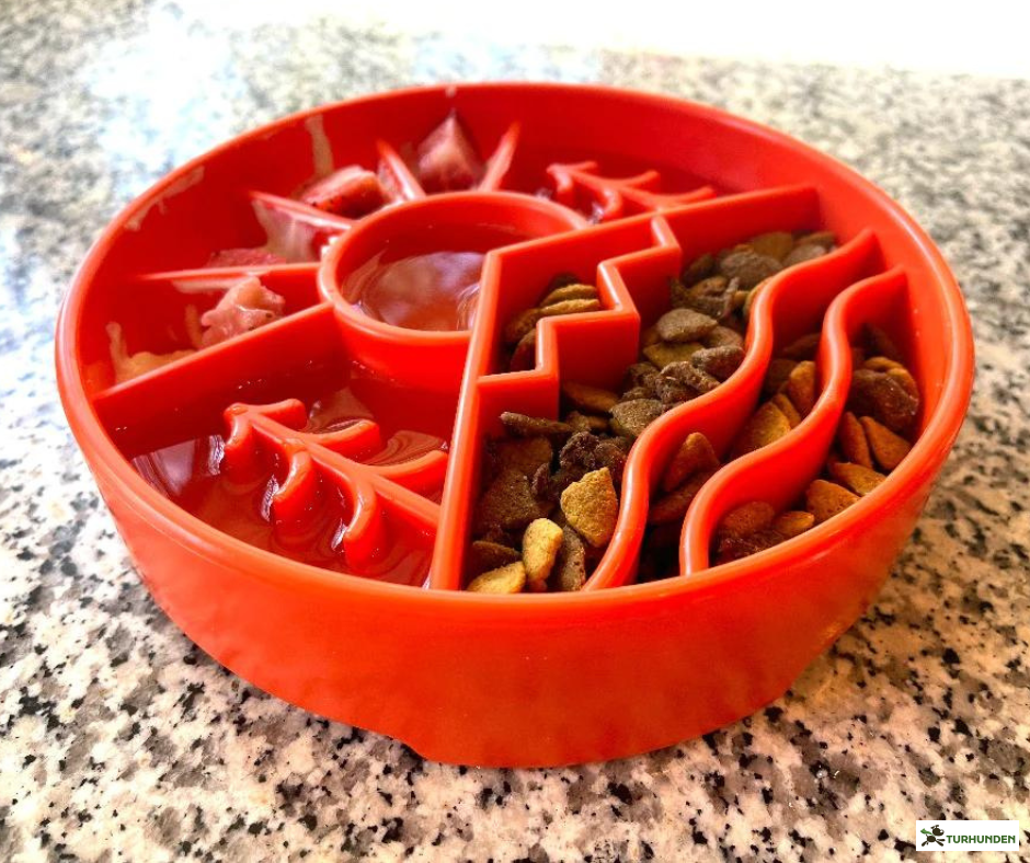 SodaPup Great Outdoor eBowl