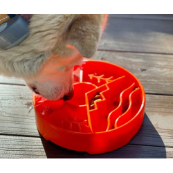 SodaPup Great Outdoor eBowl