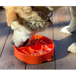 SodaPup Great Outdoor eBowl