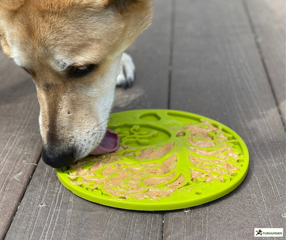 SodaPup eMat Tree of Life 