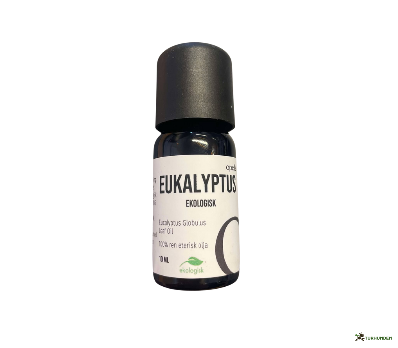 terisk olie Eukalyptus