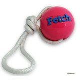 Planet Dog Fetch Bold