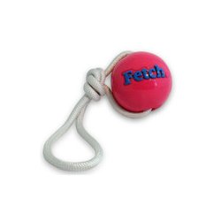Planet Dog Fetch Bold
