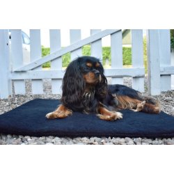 Siccaro FlexDog Absorbent Mat 