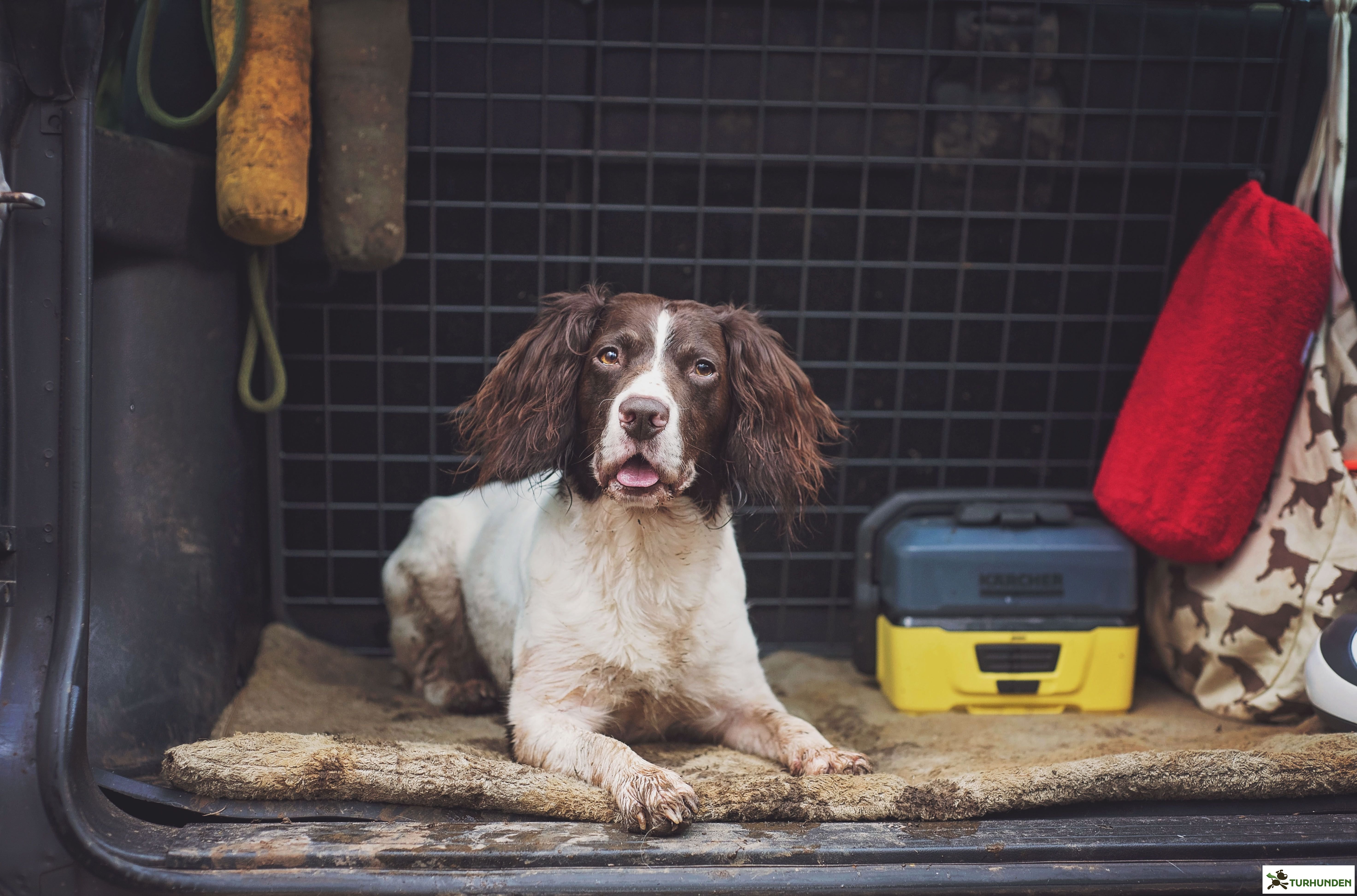 Siccaro FlexDog Absorbent Mat 