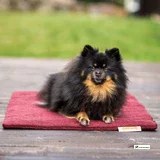 Siccaro FlexDog Absorbent Mat - MINI