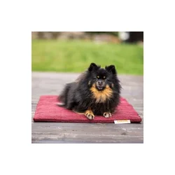 Siccaro FlexDog Absorbent Mat - MINI