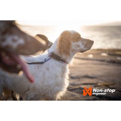 Non-stop dogwear Roam Collar