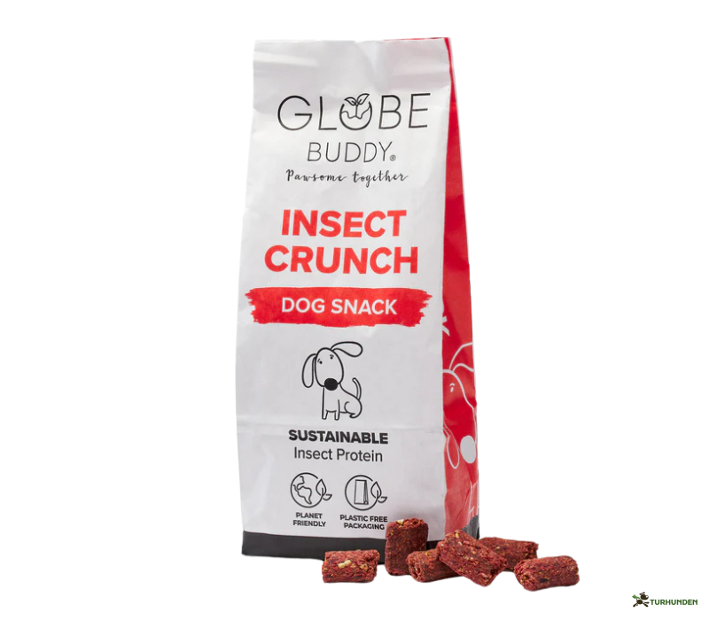 Globe Buddy Insect Crunch