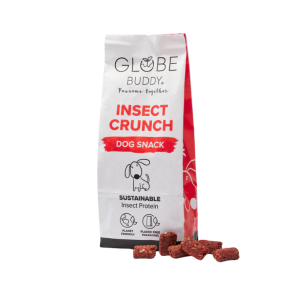 Globe Buddy Insect Crunch