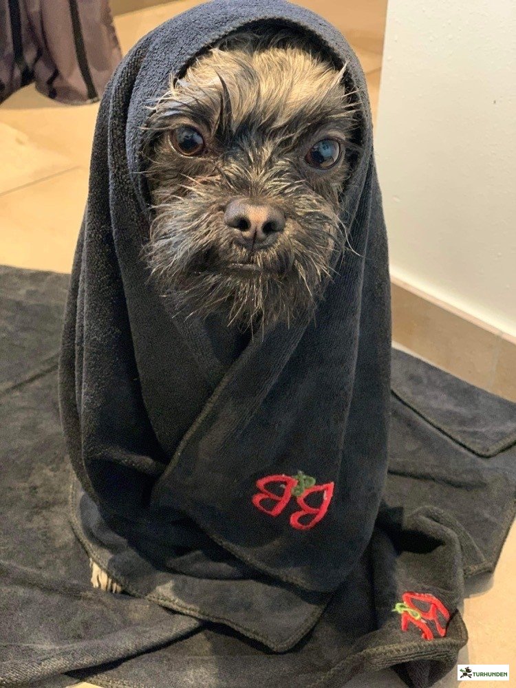 B&B Microfiber hndklde L/XL