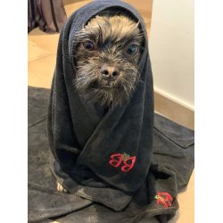 B&B Microfiber hndklde L/XL