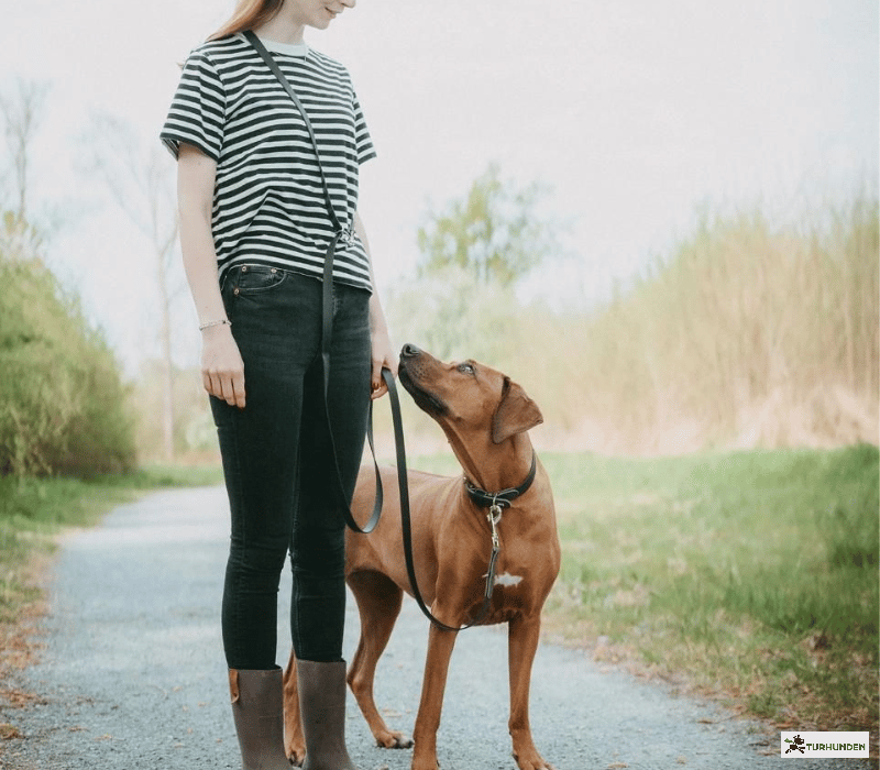 Hunter Wolmar Justerbar Line