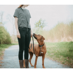 Hunter Wolmar Justerbar Line