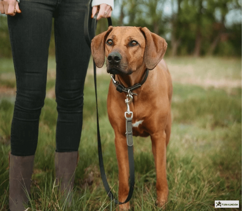 Hunter Wolmar Justerbar Line