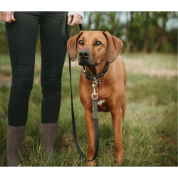 Hunter Wolmar Justerbar Line