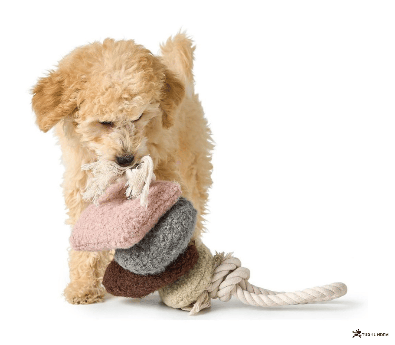 Hunter legetj Madrid - Mix