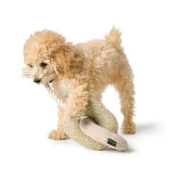 Hunter Legetj Madrid - Grn/Beige