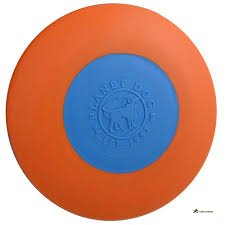 Planet Dog Zoom Flyer