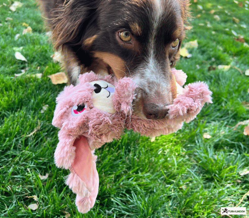 Kong Scrumplez Bunny